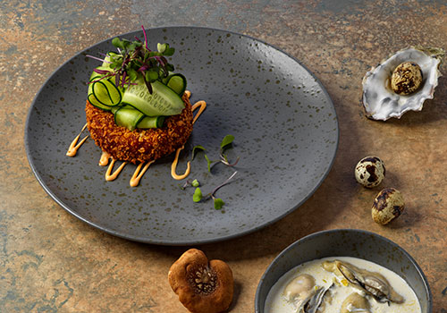 Ariane Oxide Fly Ash Collection